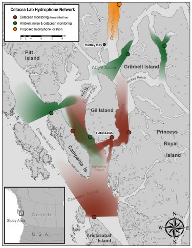 cetacealab-hyrophone-network