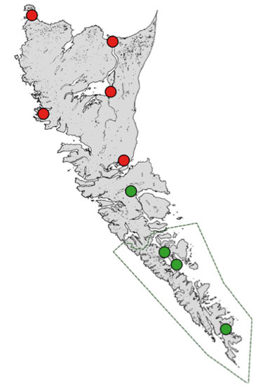 Map of settlement plate sites. The red dots represent sites put out and collected by CHN staff, while the green dots represent sites where settlement plates were put out and collected by Gwaii Haanas staff. Map credit: Haida Nation/Stuart Crawford, Marine Planning Program.