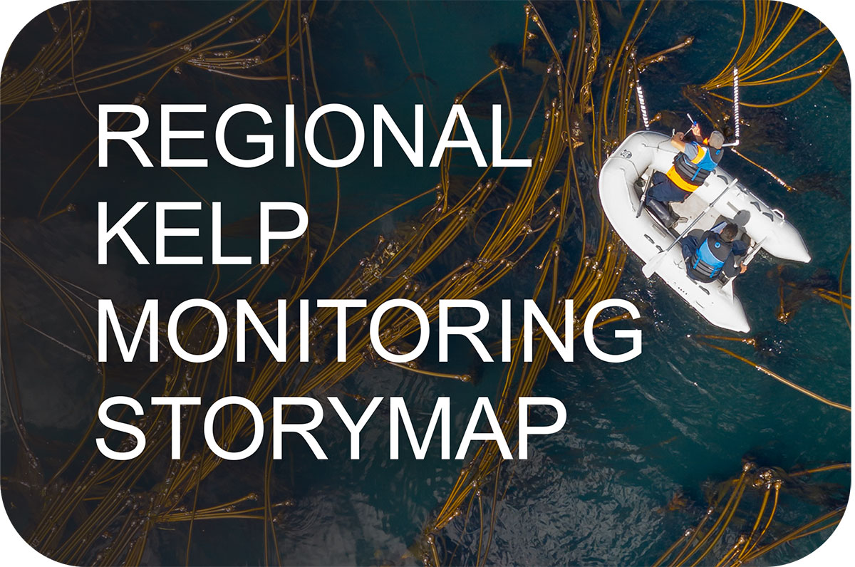 Regional Kelp Monitoring Storymap Button